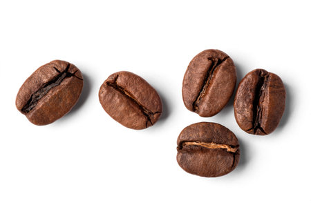 Freshly roasted coffee beans on a white backgroundの写真素材