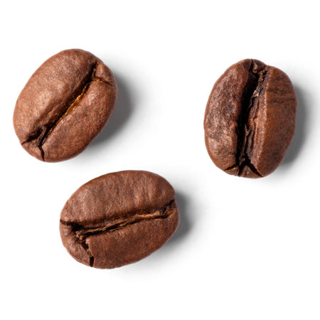 Freshly roasted coffee beans isolated on a white backgroundの写真素材