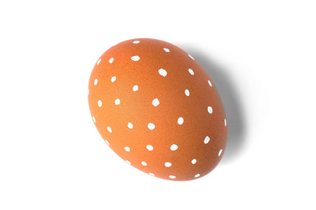 One Easter egg is a natural brown color with a minimalistic white pattern isolated on a white background.の写真素材