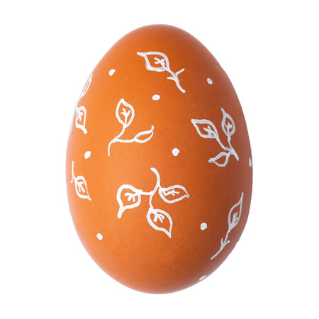 One Easter egg is a natural brown color with a minimalistic white pattern in the form of twigs isolated on a white background.の写真素材