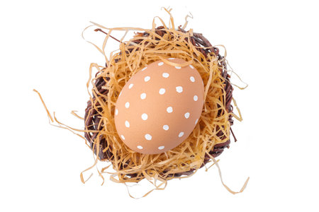 One Easter egg with a white ornament in a nest with straw isolated on a white backgroundの写真素材