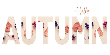 Autumn concept banner with creative text cutout effect and dried leaves elementsの写真素材
