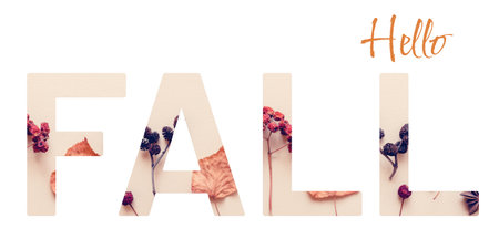 Fall concept banner with creative text cutout effect and dried leaves elements