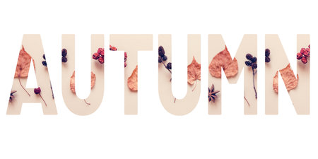 Autumn concept banner with creative text cutout effect and dried leaves elementsの写真素材