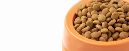 Dry pet food granules in feeding bowl on white background. Close up