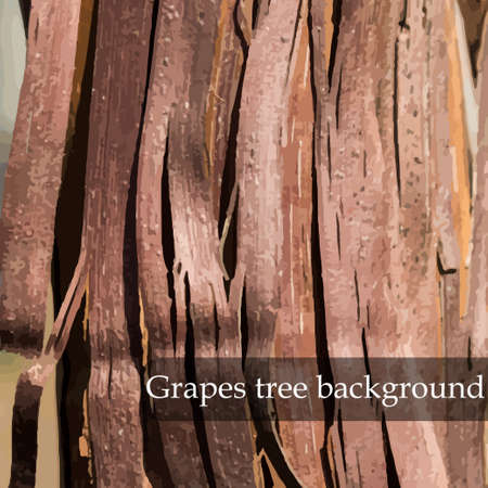 Wood texture. Grapes tree background. Vector illustrationのイラスト素材