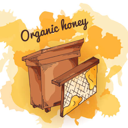 Apiary icon for your design. Vector sketch, sweet natural food. Honey production in hand drawn styleのイラスト素材