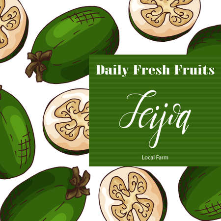 Hand drawn fruit illustration.のイラスト素材