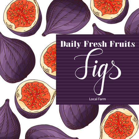 Food design with fruit hand drawn sketch of figs.のイラスト素材
