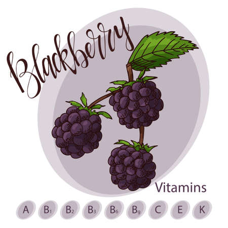 Hand-drawn icon with lettering food illustration.のイラスト素材