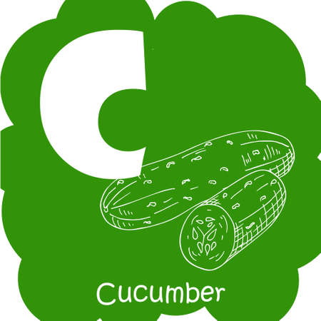 Alphabet for kids with vegetables. Healthy letter abc C-cucumber.のイラスト素材