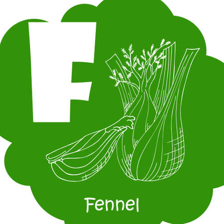 Alphabet for kids with vegetables. Healthy letter abc F-Fennelのイラスト素材