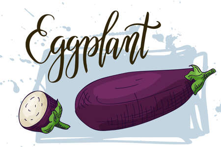 Vegetable food banner. Eggplant sketch. Organic food poster. Vector illustrationのイラスト素材