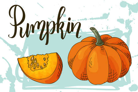 Colorful sketch vegetable. Healthy food poster. Farmers market design with pumpkin. Vector illustrationのイラスト素材