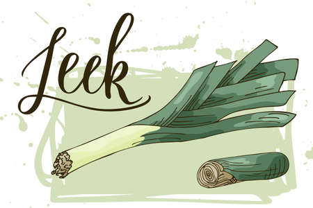 Vegetable food banner. Leek sketch. Organic food poster. Vector illustrationのイラスト素材