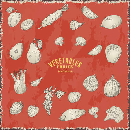 Vector hand drawn sketch fruits and vegetables. Isotaled elements for card or poster.のイラスト素材