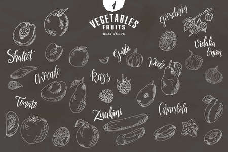 Doodle elements of fruit and vegetable. Hand drawn shetches. Vector illustration of healthy foodのイラスト素材