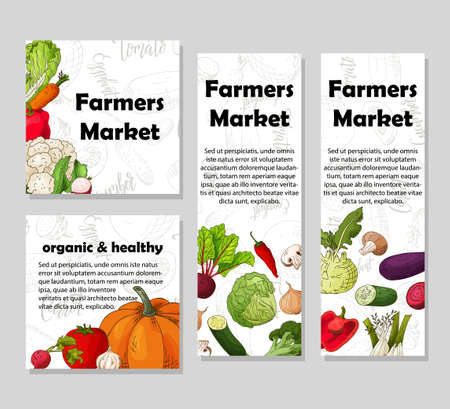 Food design with vegetable. Hand drawn sketch of beet and daikon. Organic fresh product for card or poster design for cafe. Colorful vector illustrationのイラスト素材