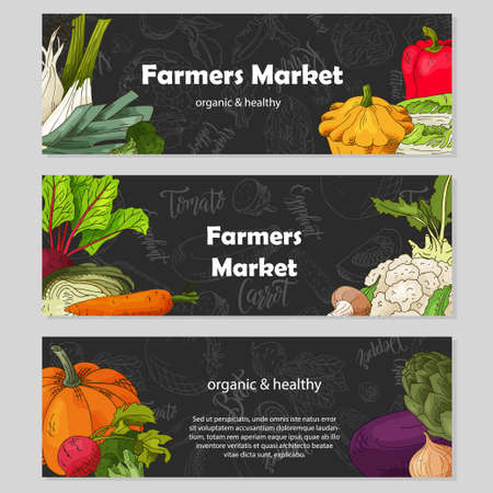 Food design with vegetable. Hand drawn sketch of beet and daikon. Organic fresh product for card or poster design for cafe. Colorful vector illustrationのイラスト素材