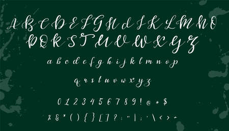 Handwritten calligraphy font, Vector alphabet design