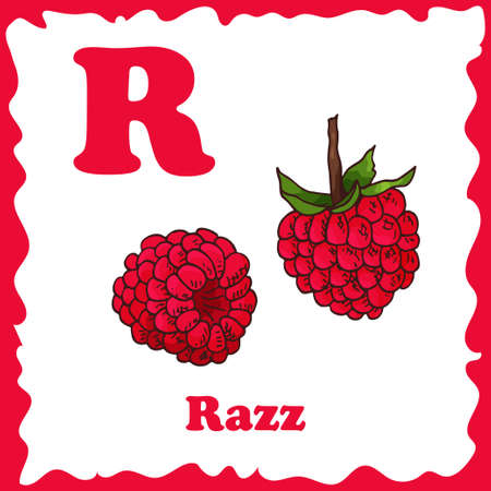 Vector fruit alphabet for education. Illustration for kids. Letter R for Razz.のイラスト素材