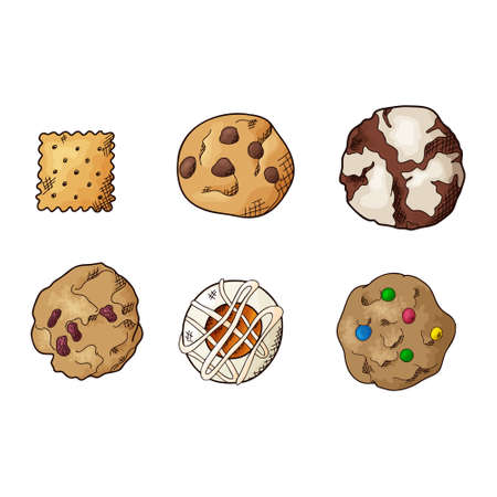 Set of different cookies on isolated white background. Traditional pastry. Vector illustration.