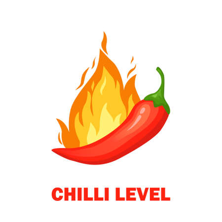 Chilli pepper spicy food level. Icons with fire flames. Vector illustrationのイラスト素材