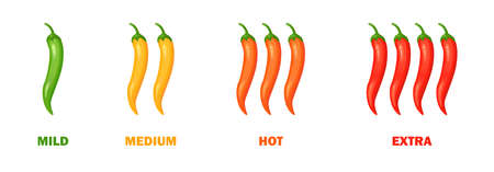 Chilli pepper spicy food level. Hot scale indicator with mild, medium, hot, extra positions. Icons with fire flames. Vector illustrationのイラスト素材