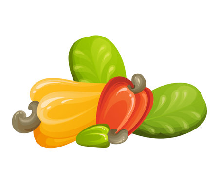 Red cashew nut. Unripe and ripe exotic yellow fruit with green leaves. Cartoon vector illustrationのイラスト素材