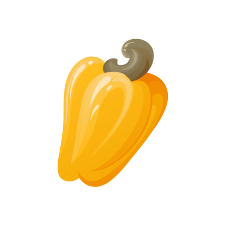 Yellow cashew nut. Unripe and ripe exotic fruit with green leaves. Cartoon vector illustrationのイラスト素材