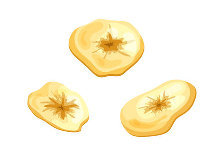 Banana chips dried fruit snack. Round isolated slices cartoon style on white background. Vector illustrationのイラスト素材