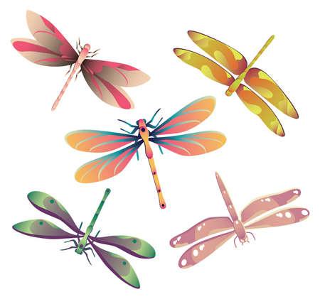 Vector illustration of five dragonflies.のイラスト素材