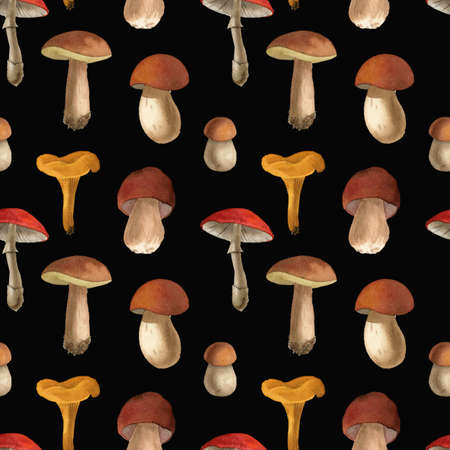 Watercolor autumn mushrooms seamless pattern (background, texture, wrapping, backdrop, square pattern).の写真素材