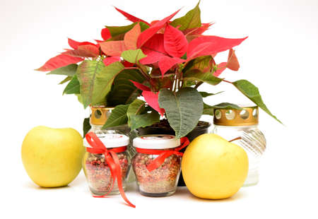 Poinsettia flower with candle herbs pot and golden apple on the white backgroundの写真素材