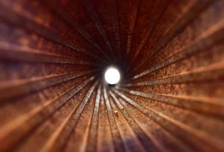 muzzle from inside a cannon exposed in Germanyの写真素材