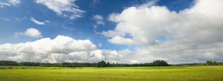 Panoramic view of the green field against blue sky with dramatic cumulus clouds. Idyllic rural scene. Summer landscapeの写真素材