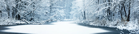 Picturesque panoramic view of the frozen snow-covered forest river. Trees in a hoarfrost. Winter wonderland. Christmas vacations, eco tourism, seasons, nature, landscape, environmental conservationの写真素材