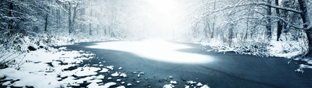 Pine trees covered by hoarfrost in the dark forest after a blizzard. Natural texture, background. Winter wonderland. Christmas, ecotourism, seasons, nature, landscape. Picturesque panoramic viewの写真素材