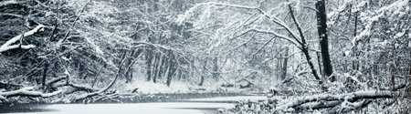 Picturesque panoramic view of the frozen snow-covered forest river. Trees in a hoarfrost. Winter wonderland. Christmas vacations, eco tourism, seasons, nature, landscape, environmental conservationの写真素材