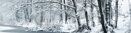 Picturesque panoramic view of the frozen snow-covered forest river. Trees in a hoarfrost. Winter wonderland. Christmas vacations, eco tourism, seasons, nature, landscape, environmental conservationの写真素材