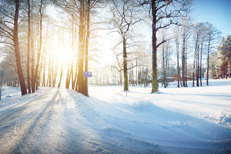 Snow-covered dirt road near small frozen river. Tall trees in hoarfrost, warm sunlight. Human and car tracks in a fresh snow. Winter rural scene. Latviaの写真素材