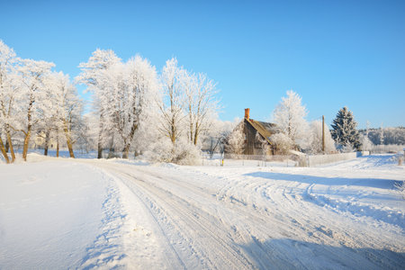 Snow-covered country road through the village, car and human tracks close-up. Tall trees in hoarfrost, warm sunlight. Clear winter day. Latviaの写真素材