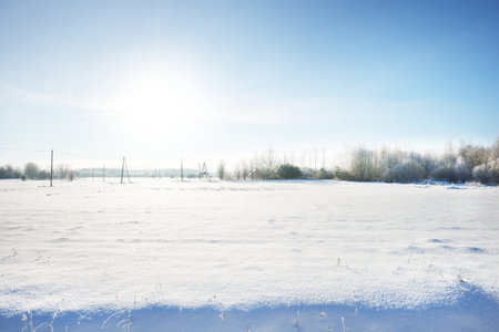 Panoramic view of the snow-covered field after a blizzard. Bushes close-up. Midday sun. Clear blue sky. Ice desert. Winter wonderland. Christmas vacations, global warming theme. Lapland, Finlandの写真素材