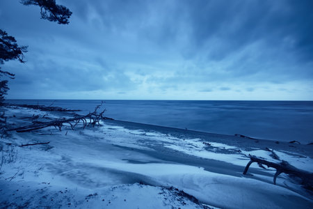 Snow-covered sea coast at sunset. Tree logs close-up. Dramatic cloudscape. Long exposure. Kolka, Latviaの写真素材
