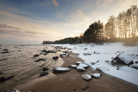 A view of the snow-covered Baltic sea coast at sunset. Stones in the water close-up. Coniferous forest in the background. Stunning cloudscape. Warm evening light. Kaltene, Latviaの写真素材