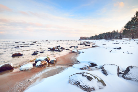 A view of the snow-covered Baltic sea coast at sunset. Stones in the water close-up. Coniferous forest in the background. Stunning cloudscape. Warm evening light. Kaltene, Latviaの写真素材