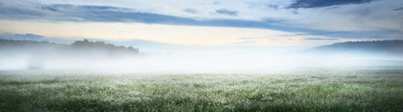 Picturesque panoramic view of the green country field in a morning fog at sunrise. Clear blue sky, soft sunlight. Germany. Idyllic summer rural scene. Pure nature, ecology, seasons, ecotourismの写真素材