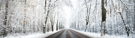 Snow-covered empty highway (new asphalt road) after cleaning. Alley of deciduous trees in a hoarfrost. Winter wonderland. Christmas vacations, travel destinations, dangerous driving. Panoramic viewの写真素材