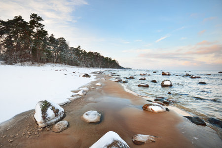 A view of the snow-covered Baltic sea coast at sunset. Stones in the water close-up. Coniferous forest in the background. Stunning cloudscape. Warm evening light. Kaltene, Latviaの写真素材