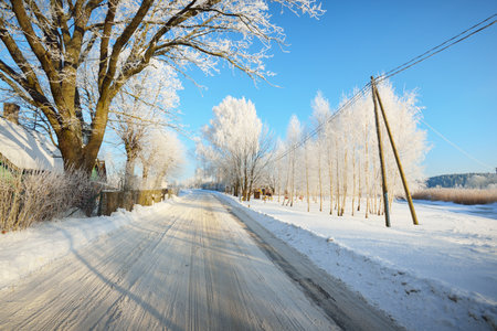 Snow-covered country road through the village of wooden traditional houses. Tall trees in hoarfrost, warm sunlight. Clear winter day. Latviaの写真素材